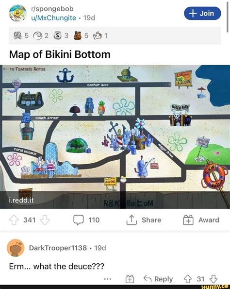 120 conch st bikini bottom.